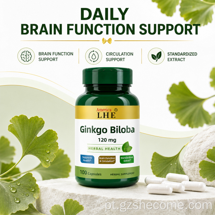 Shecome Ginkgo Biloba cápsulas de suporte à função cerebral